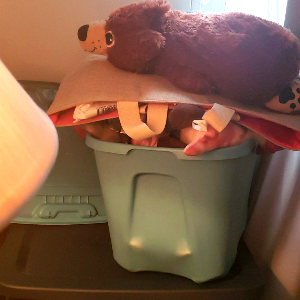 Pet toys
